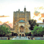 Tabara business 16-18 ani, Yale University, SUA - IVI Romania 9