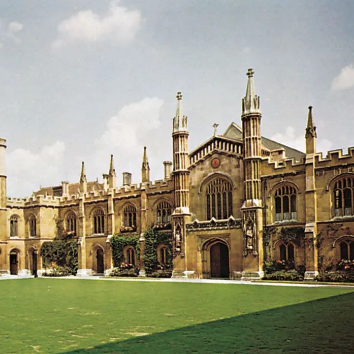 Tabara business si antreprenoriat 13-15 ani, Cambridge University, Anglia - IVI Romania 14