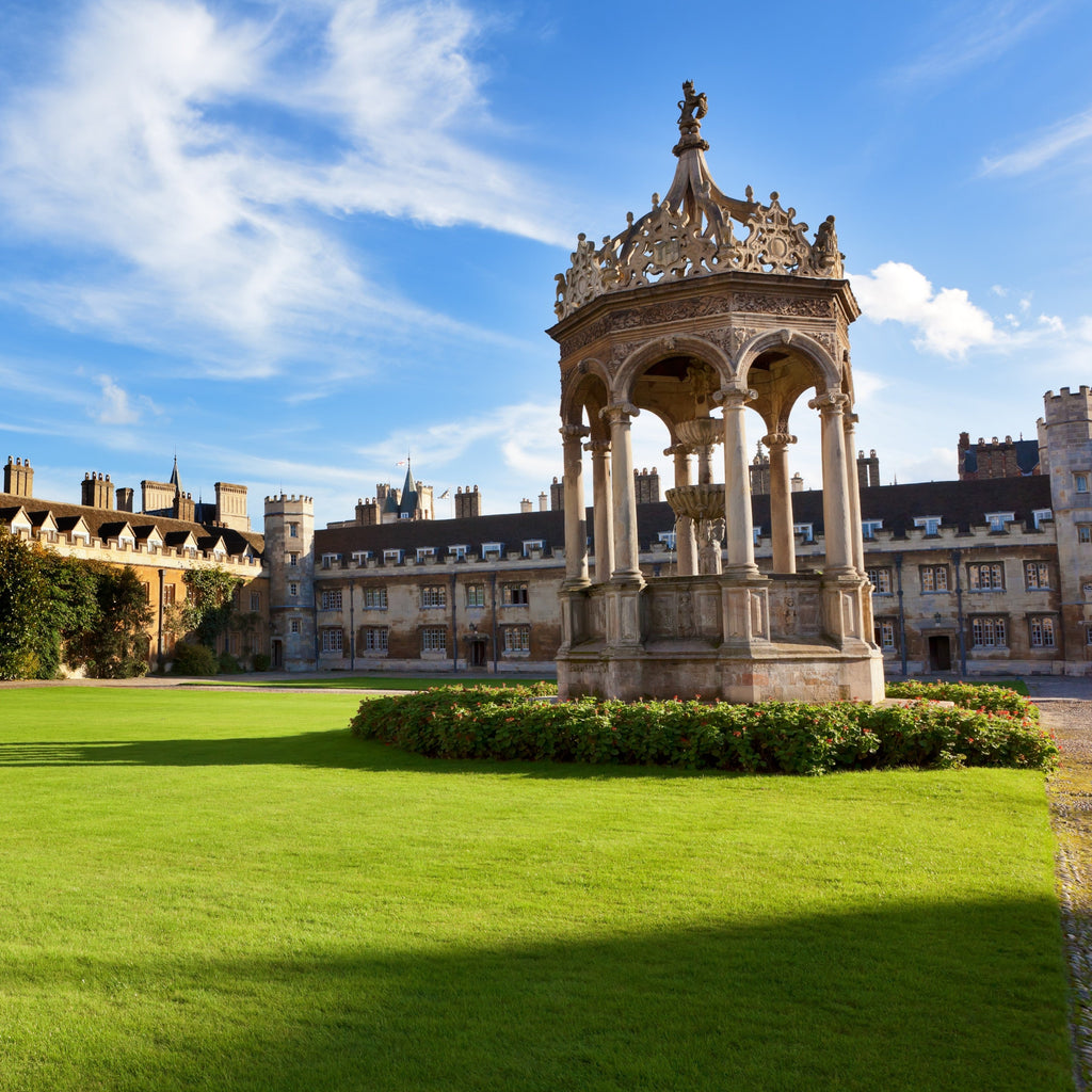 Tabara business si antreprenoriat 13-15 ani, Cambridge University, Anglia - IVI Romania 13