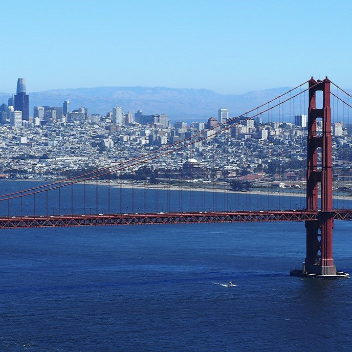 Tabara business si antreprenoriat 15-18 ani, UC Berkeley, SUA - IVI Romania 14