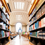 Tabara business si antreprenoriat 15-18 ani, UC Berkeley, SUA - IVI Romania 7