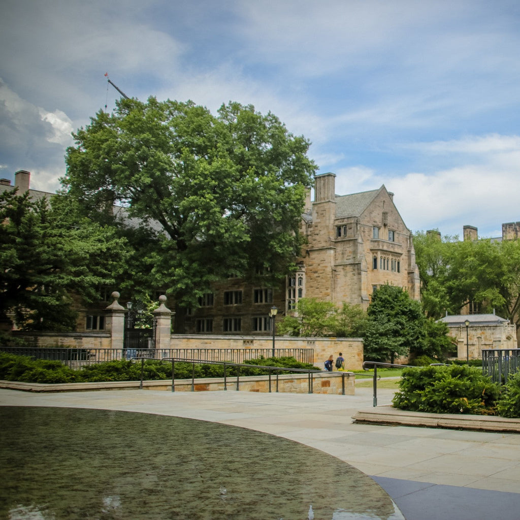 Tabara Debate (13 - 18 ani) - St Andrews University - Scotia