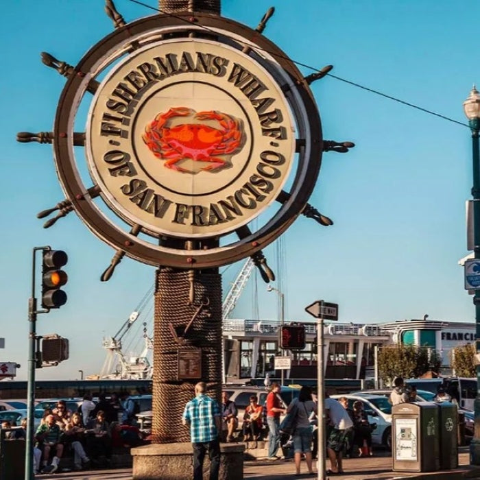 Tabara dezvoltare software si AI 15-18 ani, San Francisco, SUA, IVI Romania 6