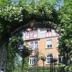 Tabara Diplomatie (6 - 18 ani) - Rosenberg - Elvetia