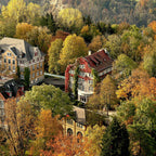 Tabara Diplomatie (6 - 18 ani) - Rosenberg - Elvetia