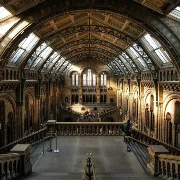 Tabara drept 15-18 ani, Oxford, Anglia, IVI Romania 13