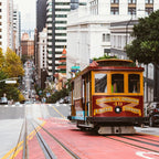 Tabara drept 15-18 ani, UC Berkeley, SUA - IVI Romania 13