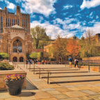 Tabara drept 16-18 ani, Yale University, SUA - IVI Romania 1