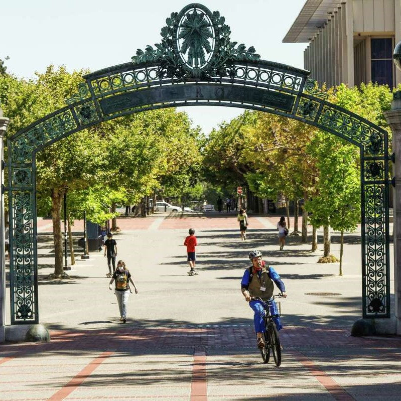 Tabara mediu si politica 16-18 ani, UC Berkeley, IVI Romania 5