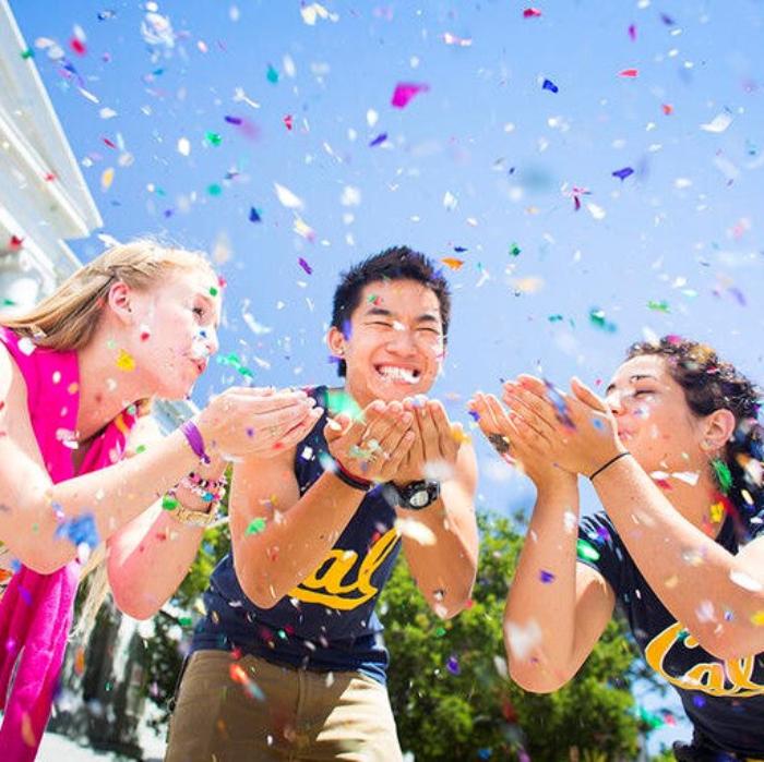 Tabara mediu si politica 16-18 ani, UC Berkeley, IVI Romania 7