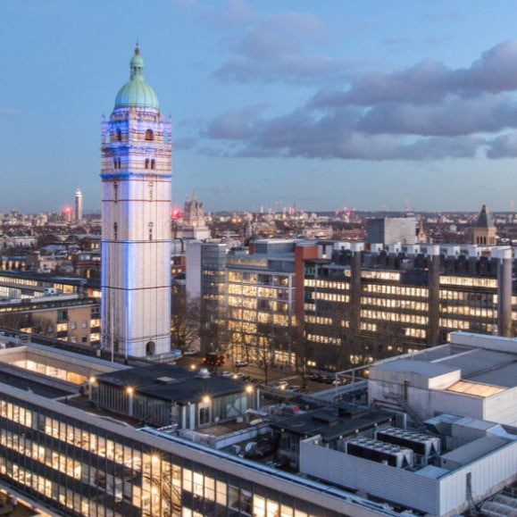 Tabara Economie și Finante (16 - 18 ani) - Imperial College Londra