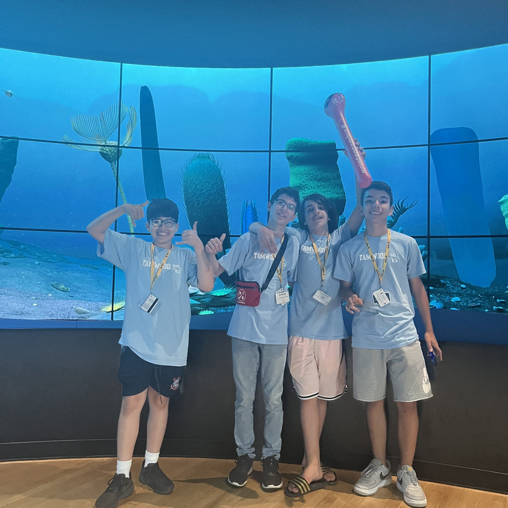 Tabara engleza si activitati copii 11-14 ani in Toronto, Canada, IVI Romania 14