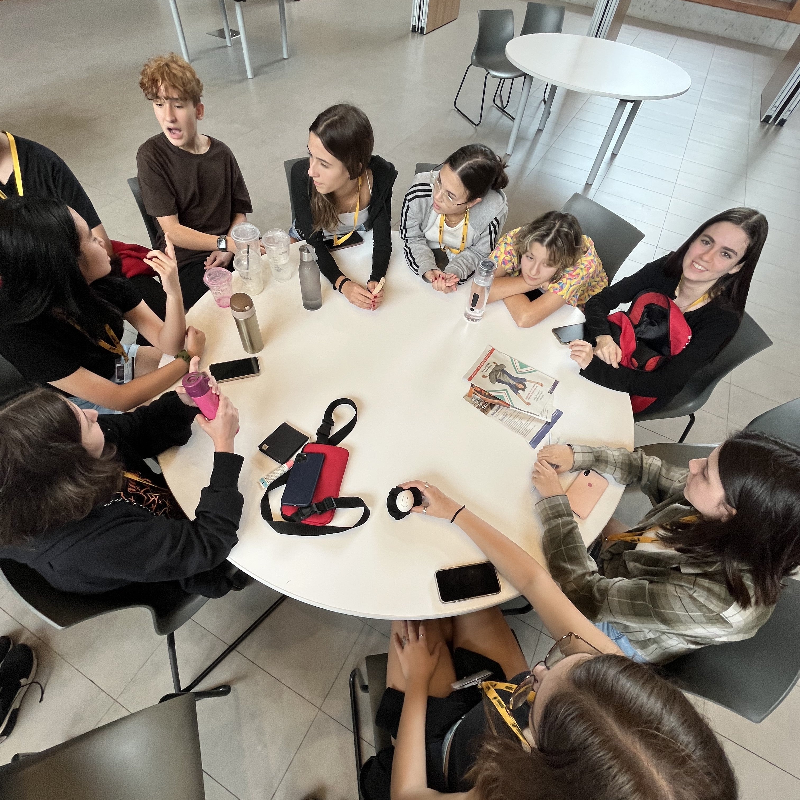 Tabara engleza si activitati copii 11-14 ani in Toronto, Canada, IVI Romania 7