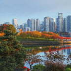 Tabara engleza si activitati copii 11-14 ani in Vancouver, Canada, IVI Romania 1