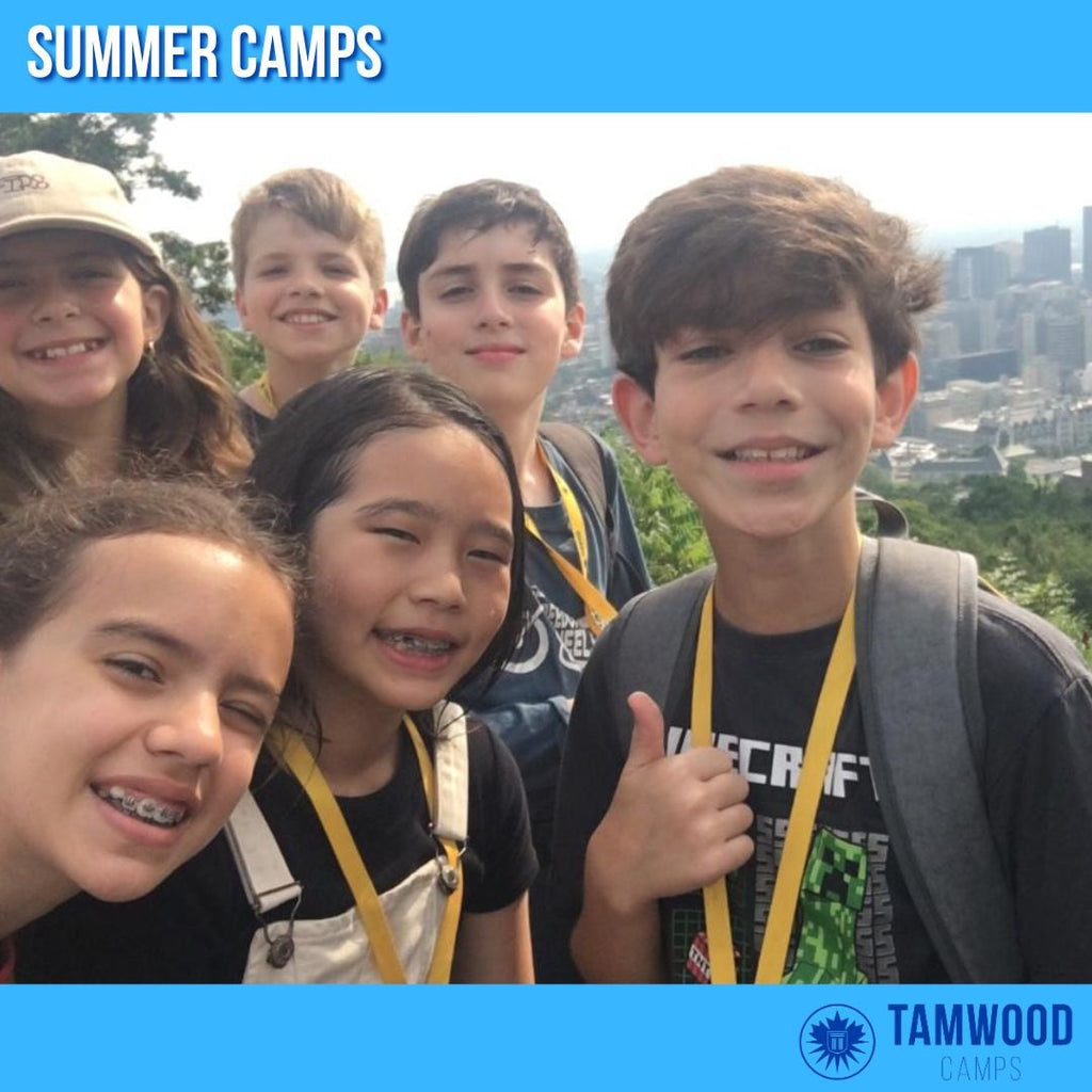 Tabara engleza 11-14 ani, New York, America - IVI Romania 10