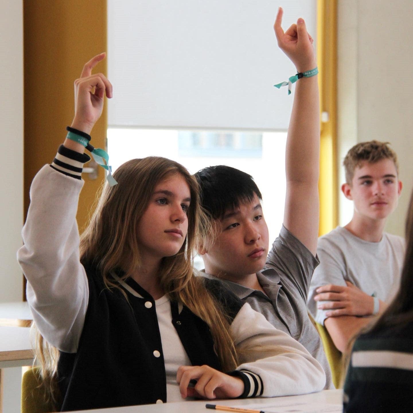 Tabara engleza elevi 11-17 ani, Sevenoaks School, Anglia - IVI Romania 2