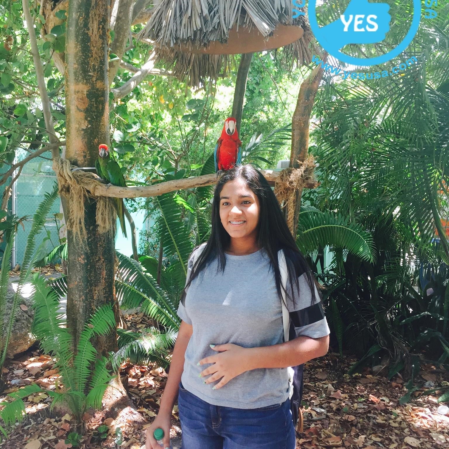 Tabara engleza 12-18 ani, Miami, USA, IVI Romania 9