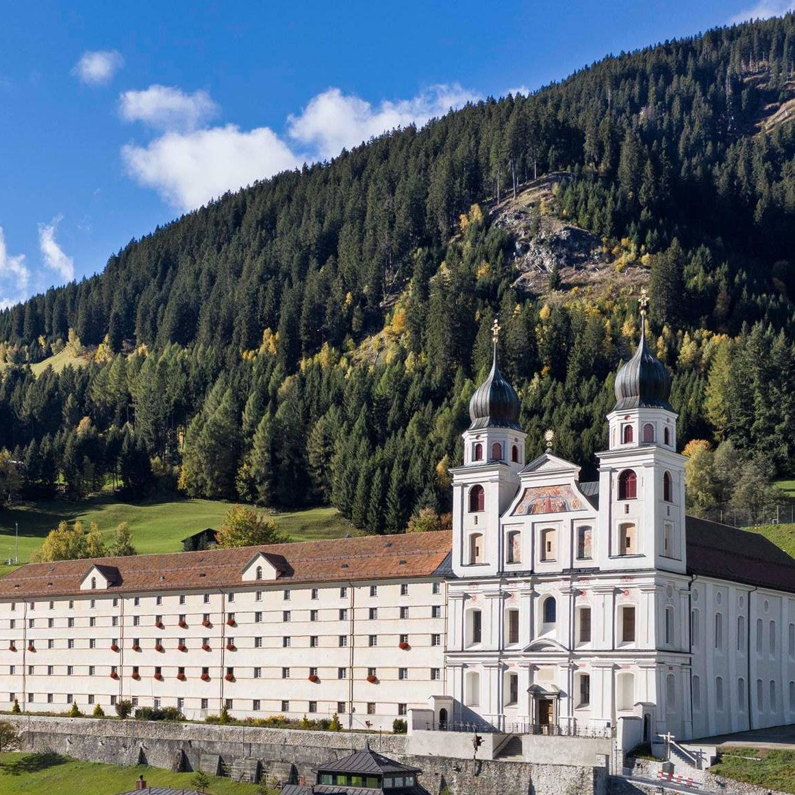 Tabara Engleza (13 - 15 ani) - SBS Disentis - Zurich - Elvetia