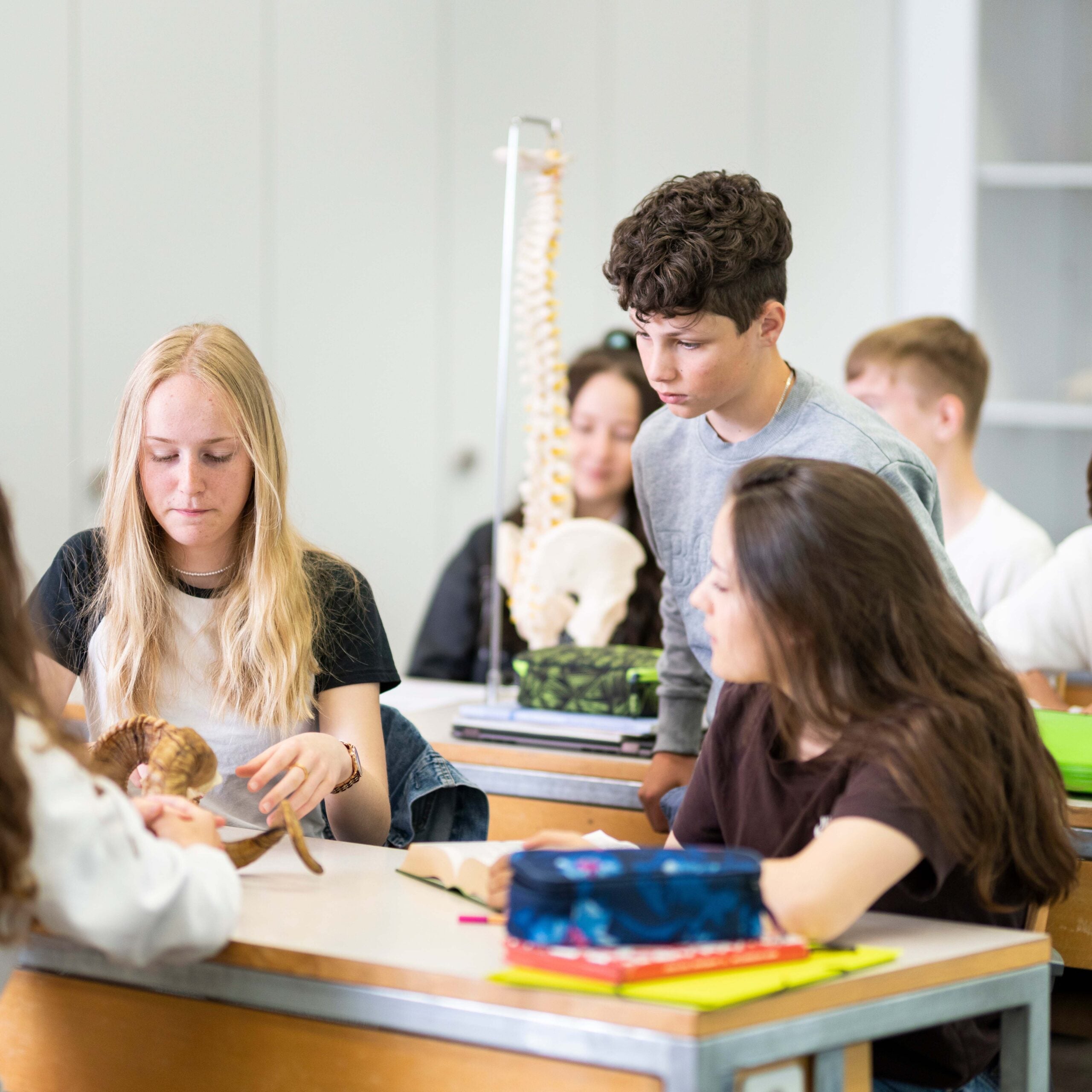 Tabara Engleza (13 - 15 ani) - SBS Disentis - Zurich - Elvetia