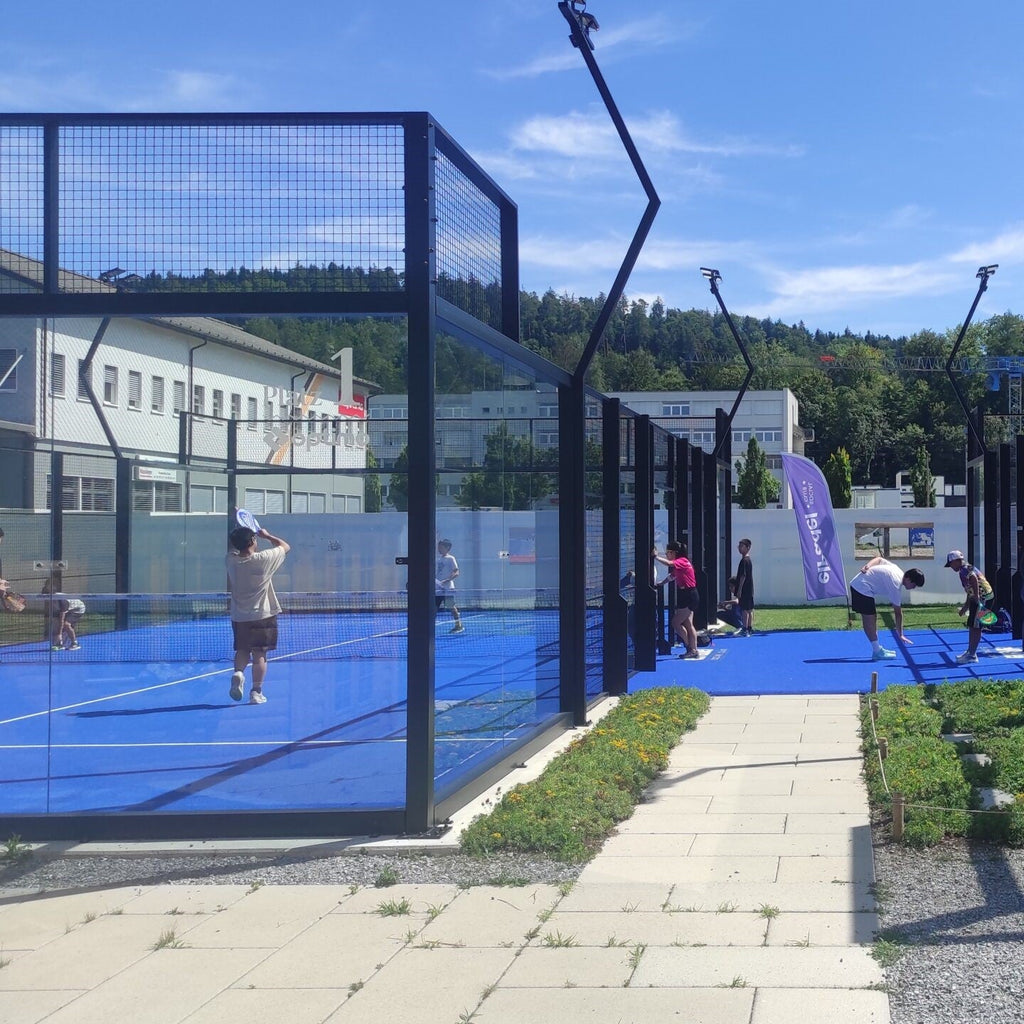 Tabara Engleza (13 - 15 ani) - SBS Disentis - Zurich - Elvetia