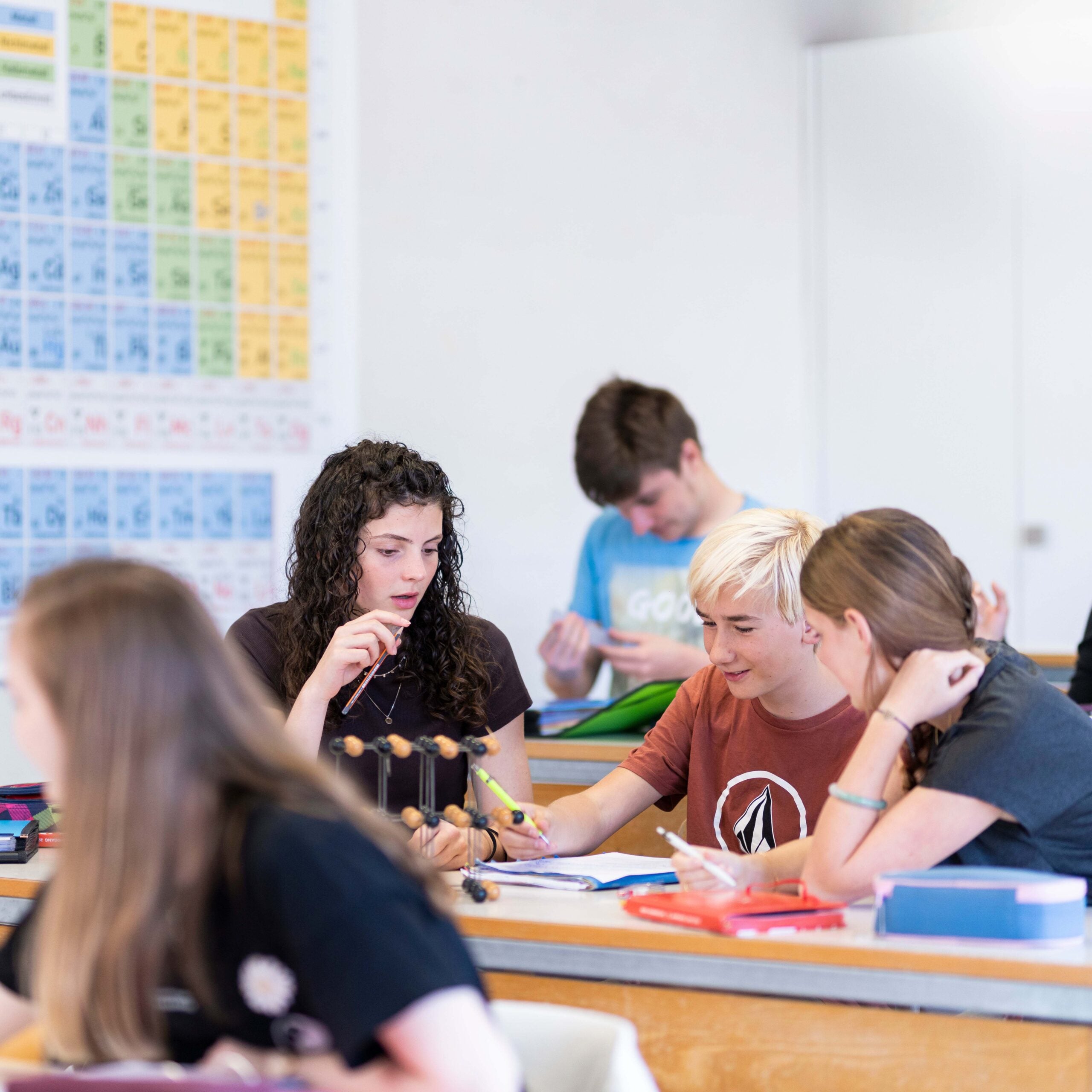 Tabara Engleza (13 - 15 ani) - SBS Disentis - Zurich - Elvetia