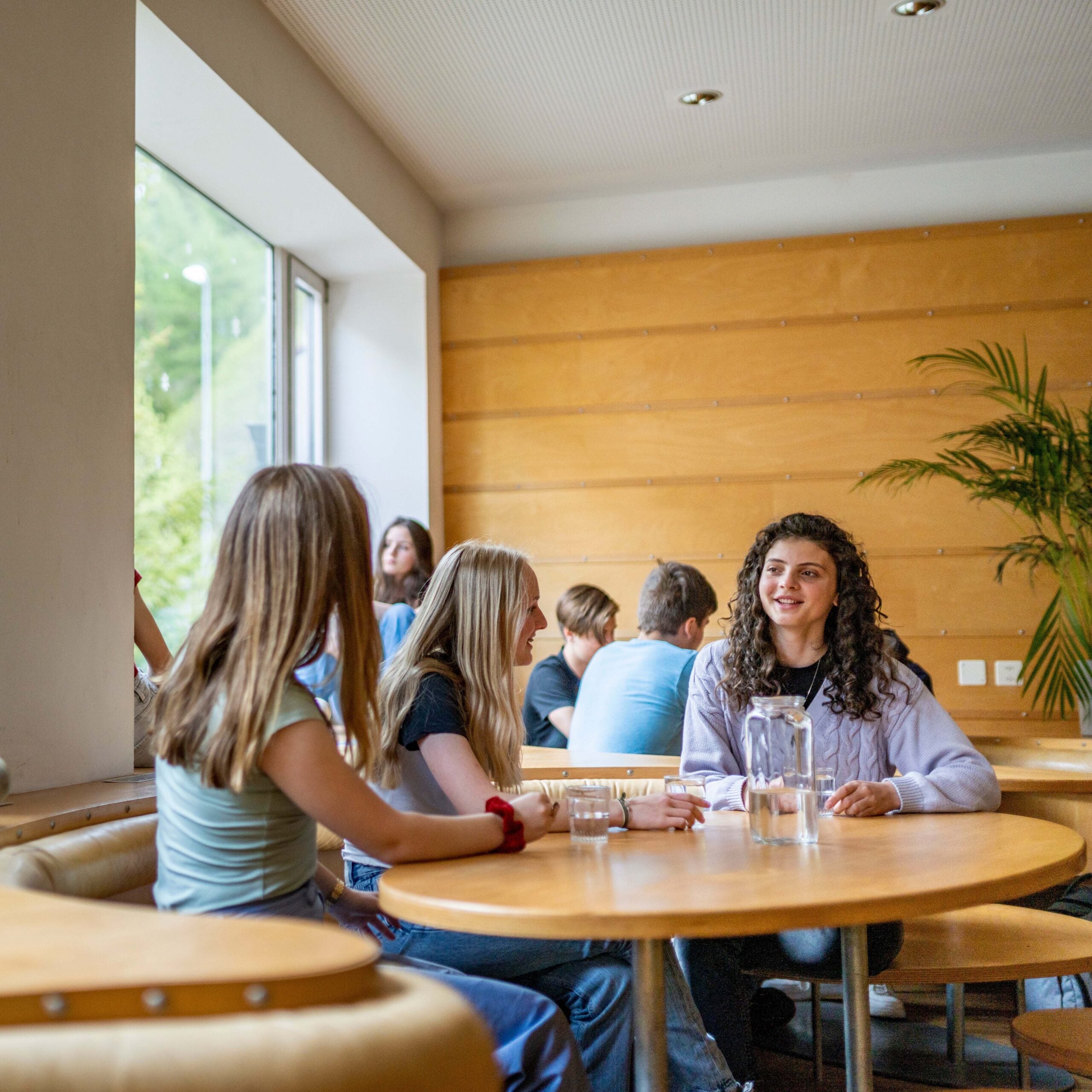 Tabara Engleza (13 - 15 ani) - SBS Disentis - Zurich - Elvetia