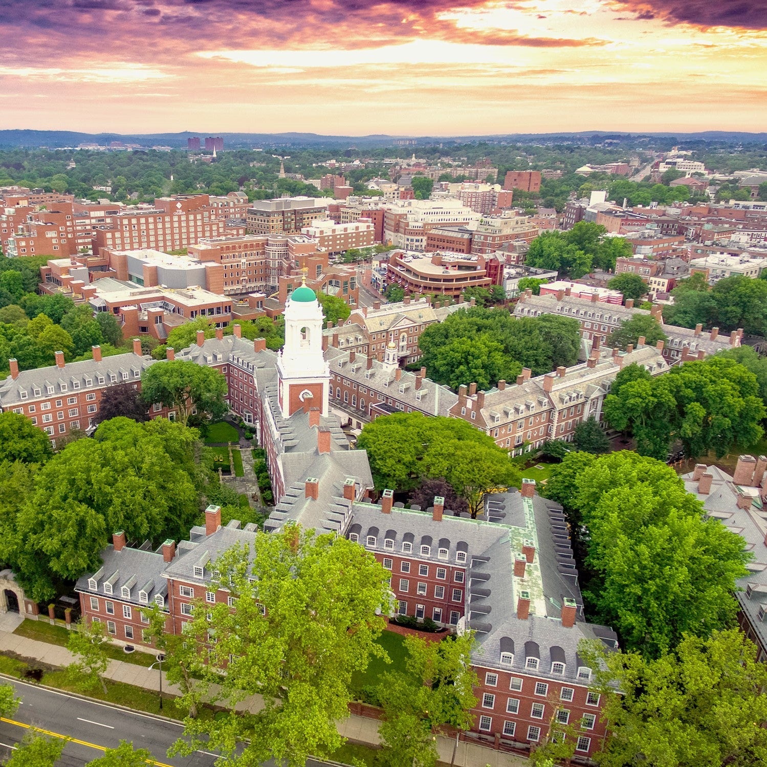 Tabara engleza 14-17 ani, Harvard si MIT, SUA - IVI Romania 1