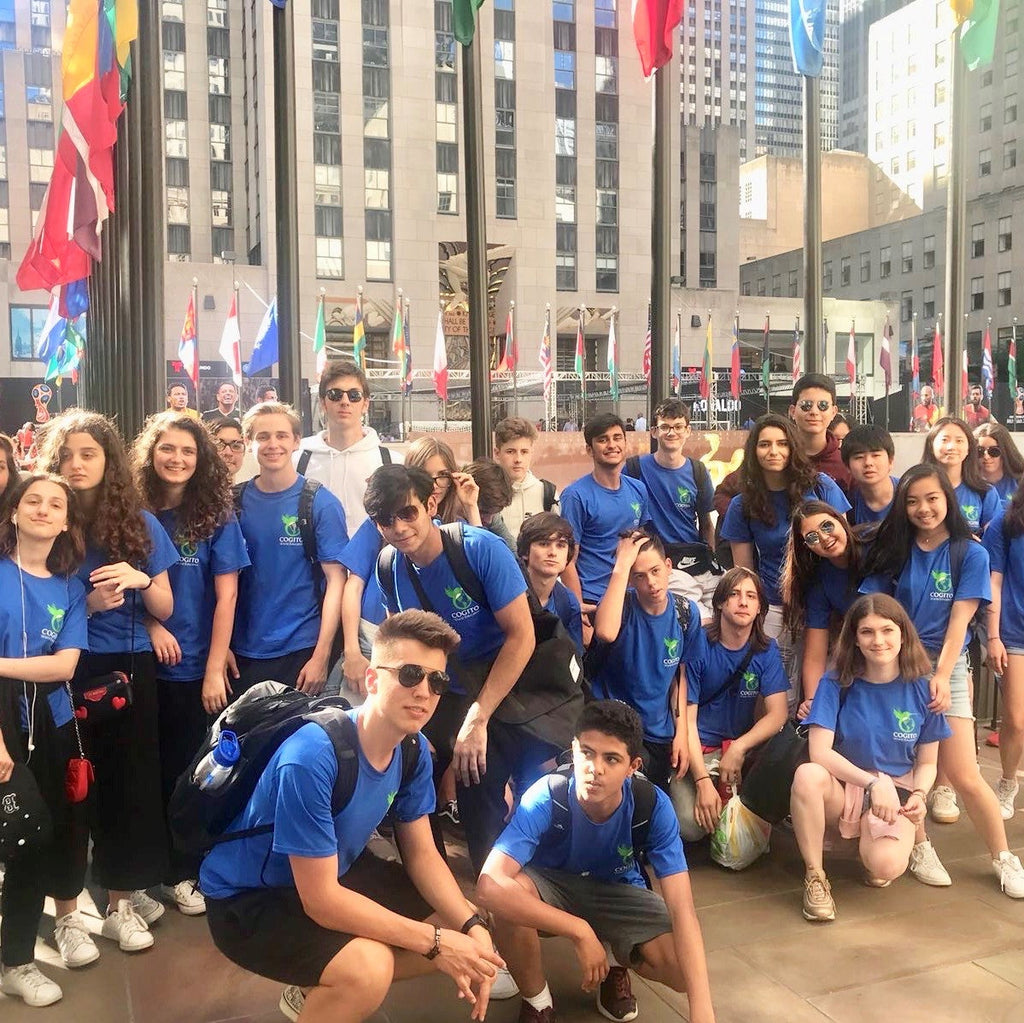 Tabara engleza 14-17 ani, Harvard si MIT, SUA - IVI Romania 3