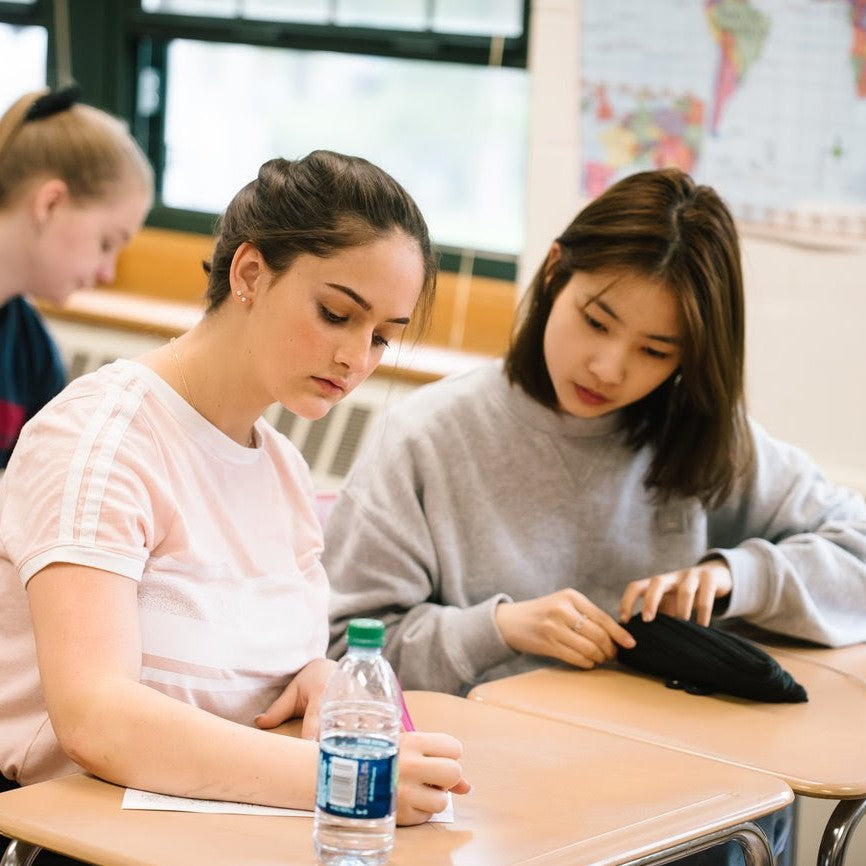 Tabara engleza 14-17 ani, Harvard si MIT, SUA - IVI Romania 4