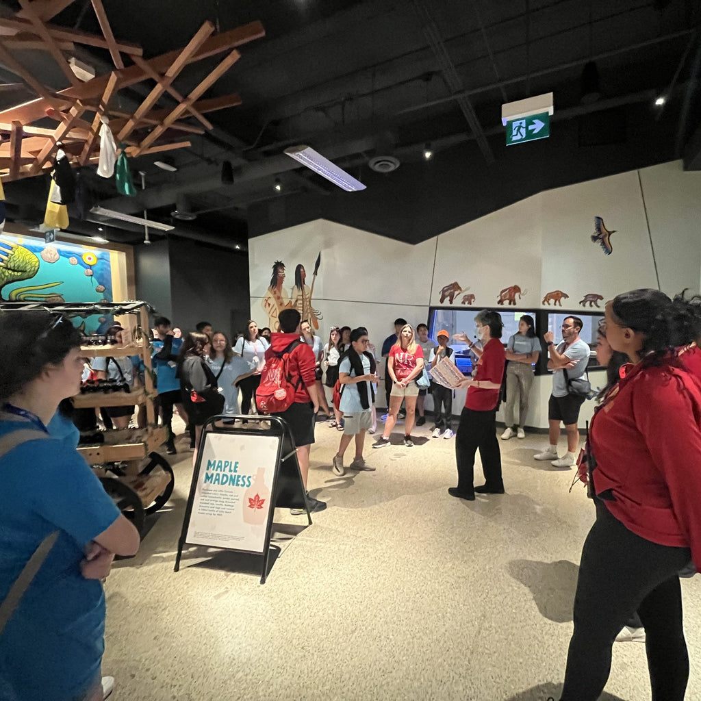 Tabara engleza si activitati elevi 15-17 ani in Toronto, Canada - IVI Romania 15