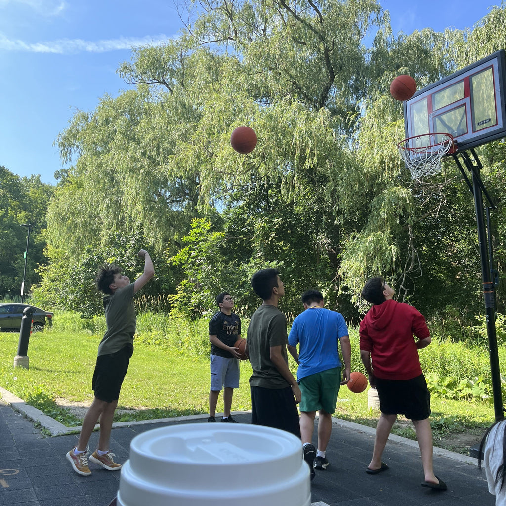 Tabara engleza si activitati elevi 15-17 ani in Toronto, Canada - IVI Romania 6