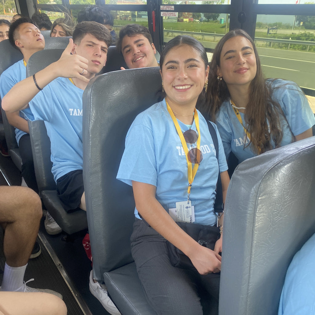 Tabara engleza si activitati elevi 15-17 ani in Toronto, Canada - IVI Romania 8