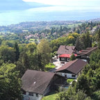 Tabara Engleza (6 - 16 ani) - Ecole Chantemerle - Elvetia