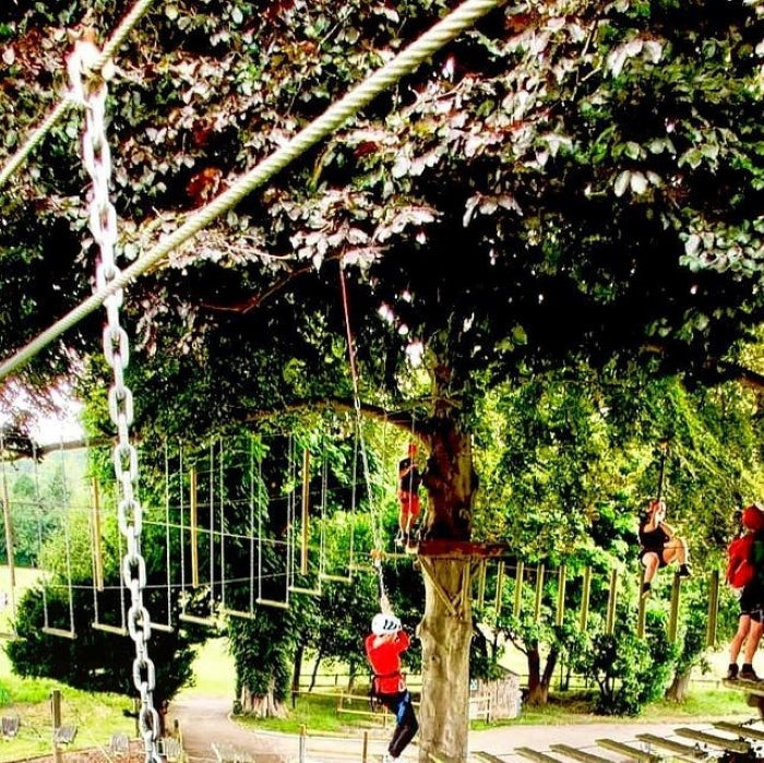 Tabara Engleza (6 - 17 ani) - RGS Surrey Hills - Anglia