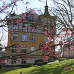 Tabara Engleza (6 - 18 ani) - Rosenberg - Elvetia