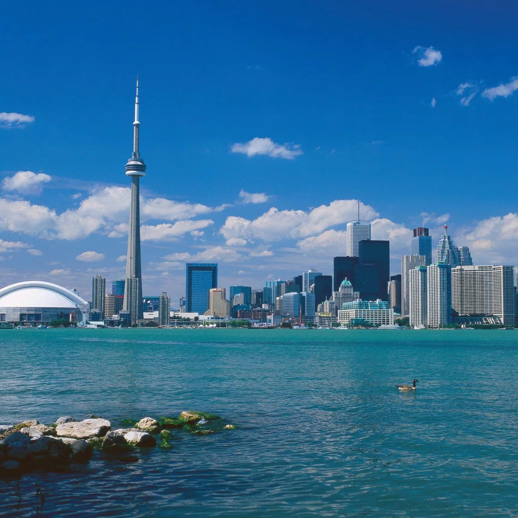 Tabara engleza si activitati copii 7-10 ani, Toronto, Canada - IVI Romania 1