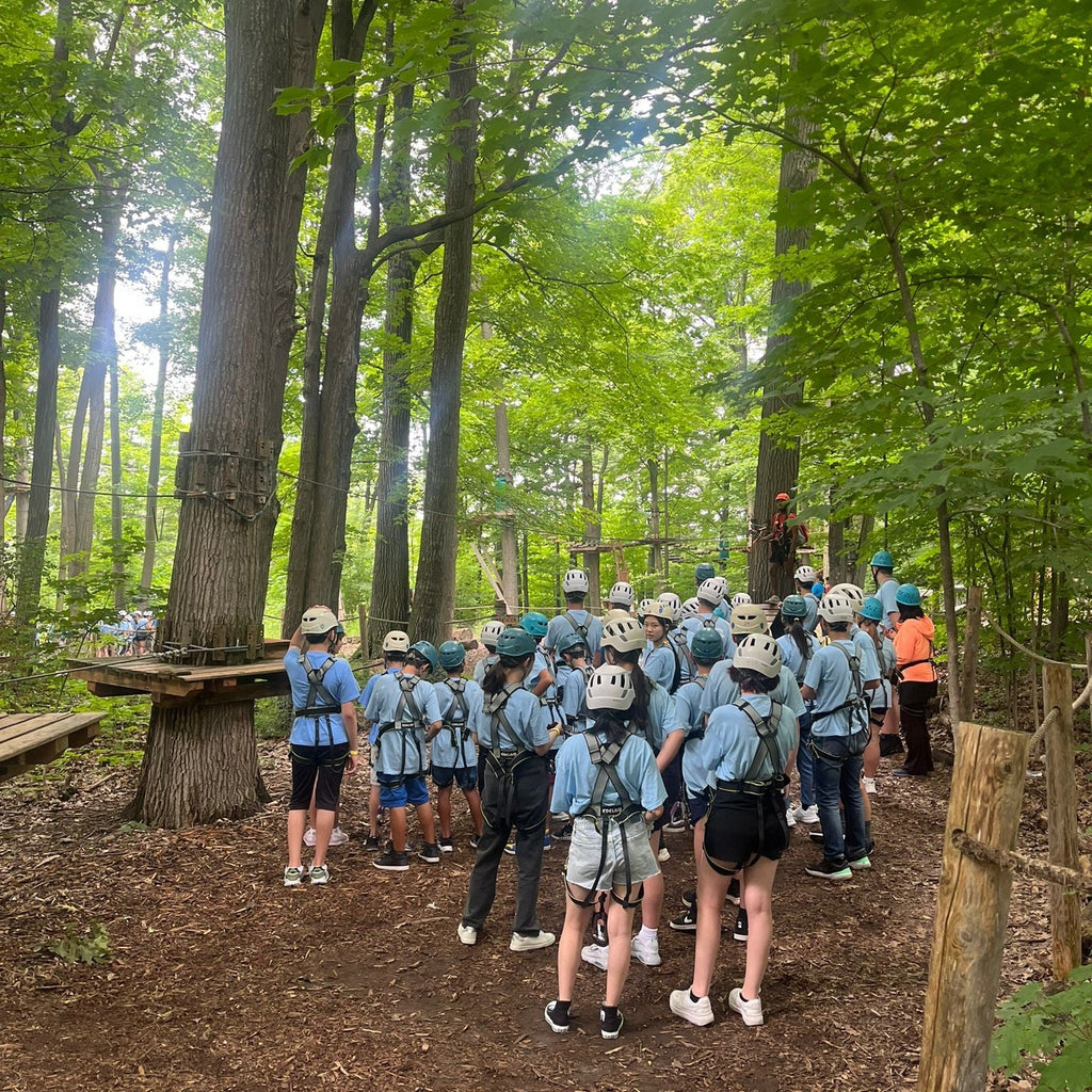 Tabara engleza si activitati copii 7-10 ani, Toronto, Canada - IVI Romania 19