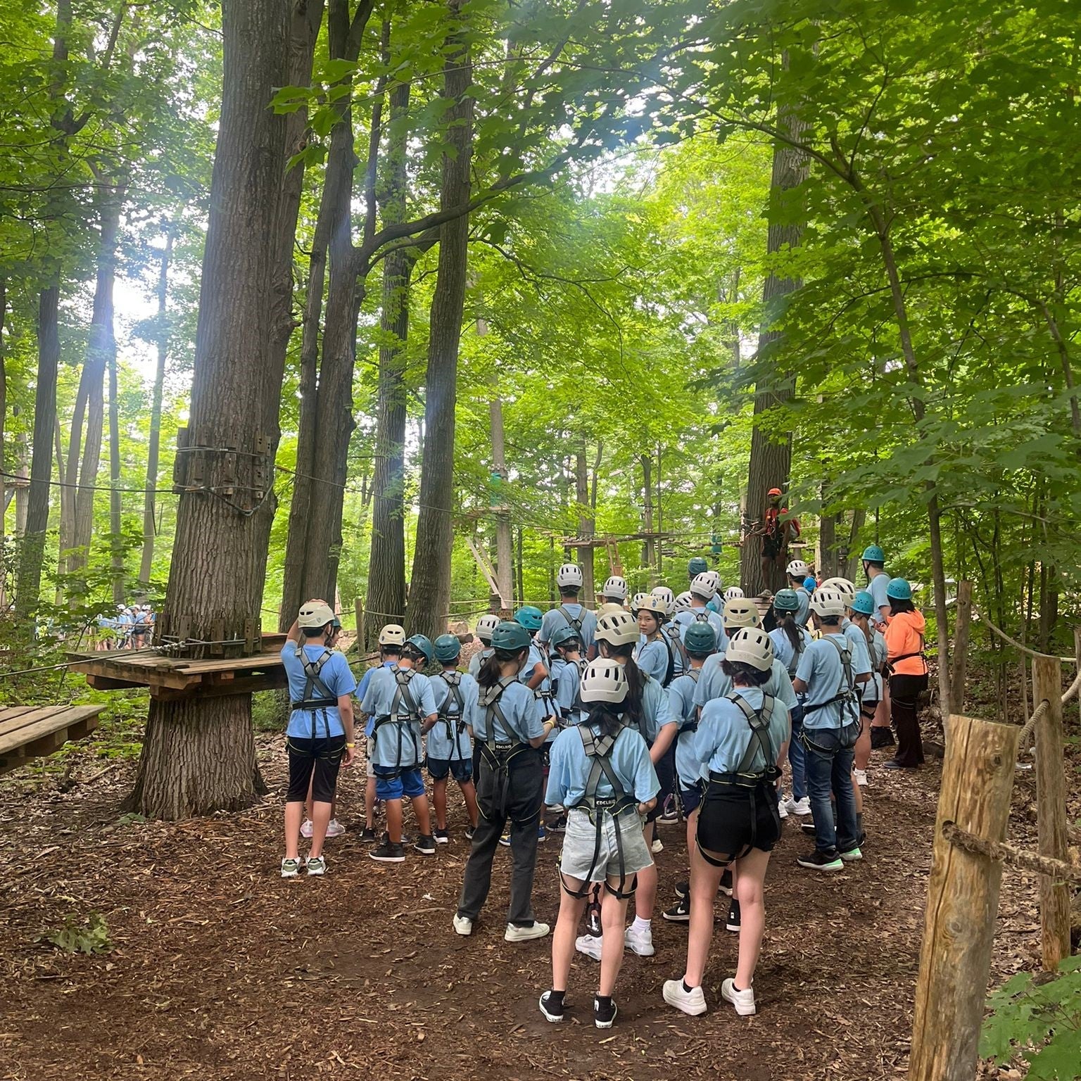 Tabara engleza si activitati copii 7-10 ani, Toronto, Canada - IVI Romania 19