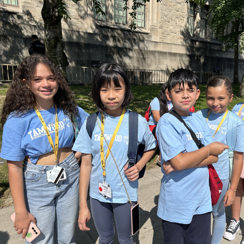 Tabara engleza si activitati copii 7-10 ani, Toronto, Canada - IVI Romania 2