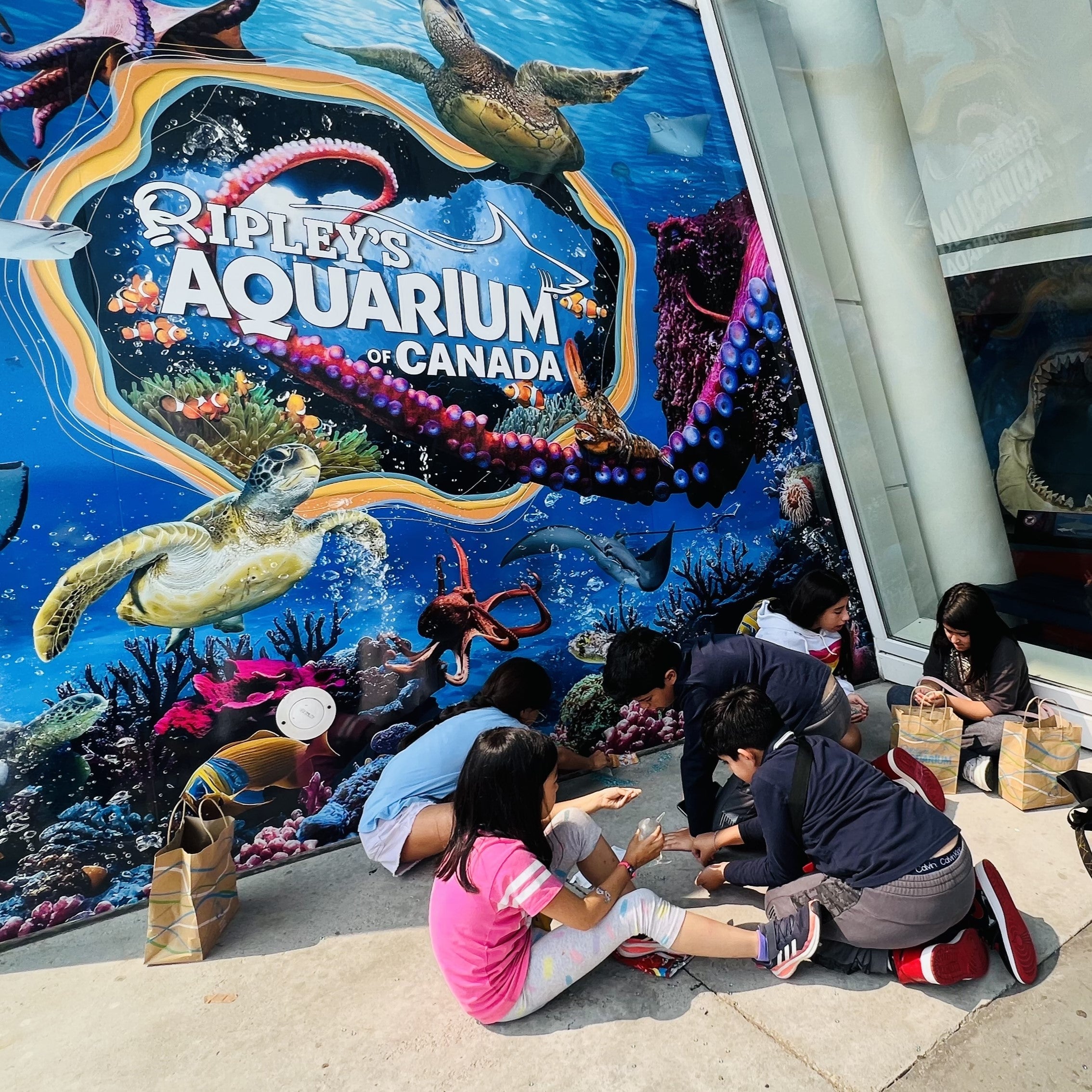 Tabara engleza si activitati copii 7-10 ani, Toronto, Canada - IVI Romania 6