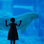 Tabara engleza si activitati copii 7-10 ani in Vancouver, Canada, IVI Romania 14