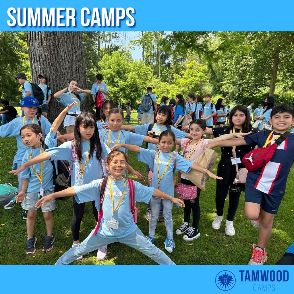 Tabara engleza si activitati copii 7-10 ani in Vancouver, Canada, IVI Romania 2