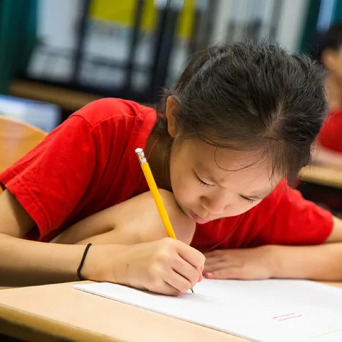 Tabara engleza 7-10 ani, TASIS, Elvetia - IVI Romania 6