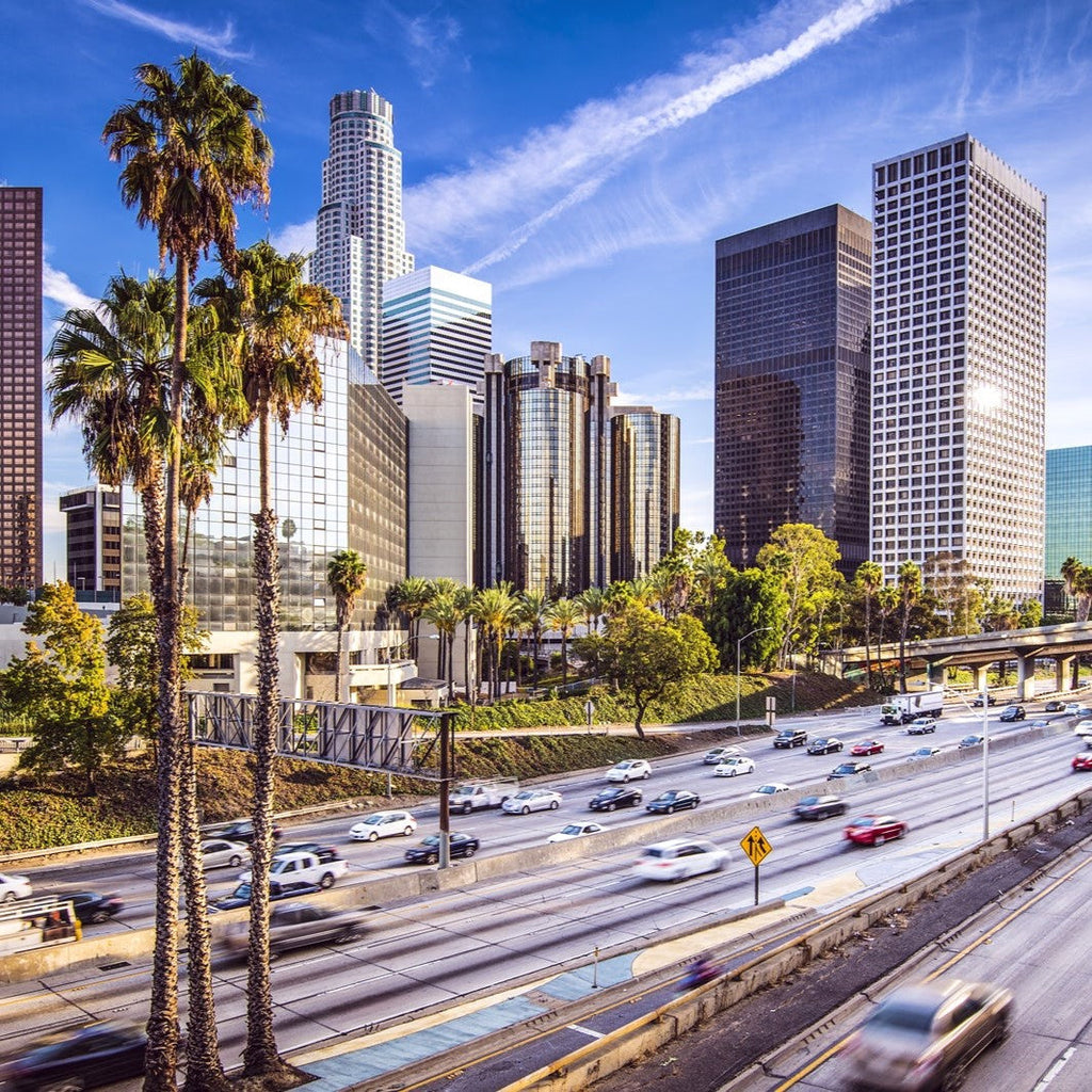 Tabara engleza si activitati elevi 7-10 ani la Los Angeles, USA - IVI Romania 1