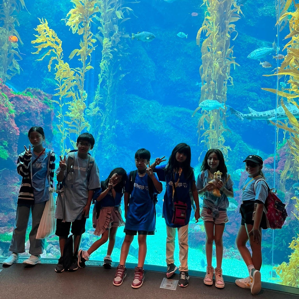 Tabara engleza si activitati elevi 7-10 ani la Los Angeles, USA - IVI Romania 18