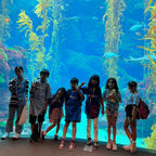 Tabara engleza si activitati elevi 7-10 ani la Los Angeles, USA - IVI Romania 18