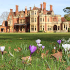 Tabara engleza intensiv 7-18 ani, Box Hill School, Anglia - IVI Romania 8