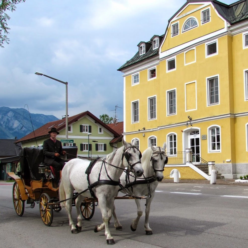 Tabara Engleza (12 - 18 ani) - AIS Salzburg - Austria