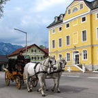 Tabara Engleza (12 - 18 ani) - AIS Salzburg - Austria