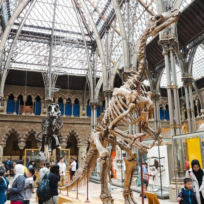 Tabara engleza si activitati 8-12 ani, Oxford, Anglia, IVI Romania 11